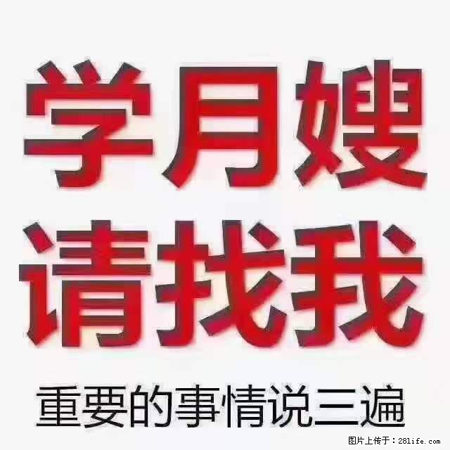 为什么要学习月嫂，育婴师？ - 其他广告 - 广告专区 - 黔西南分类信息 - 黔西南28生活网 qxn.28life.net