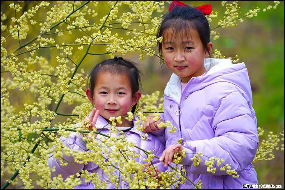 【春天，广西桂林灌阳县向您发出邀请！】米珠山前有片山苍子花在飘香 - 游山玩水 - 黔西南生活社区 - 黔西南28生活网 qxn.28life.net