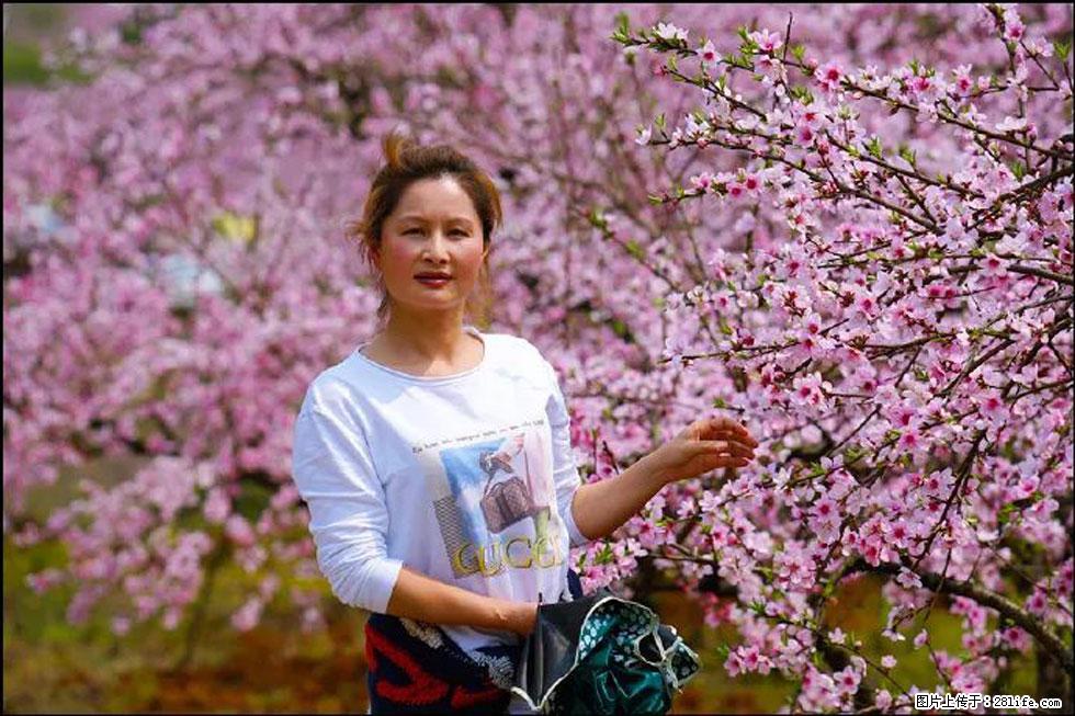 【春天，广西桂林灌阳县向您发出邀请！】官庄村有个醉美的桃花园 - 游山玩水 - 黔西南生活社区 - 黔西南28生活网 qxn.28life.net