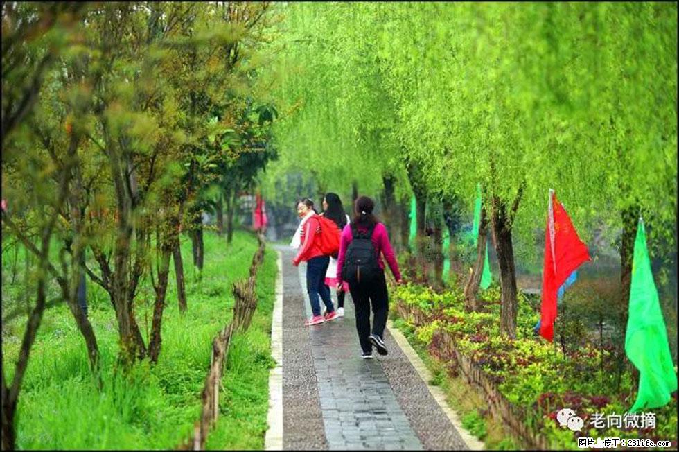 【春天，广西桂林灌阳县向您发出邀请！】江口老街又逢春 - 游山玩水 - 黔西南生活社区 - 黔西南28生活网 qxn.28life.net