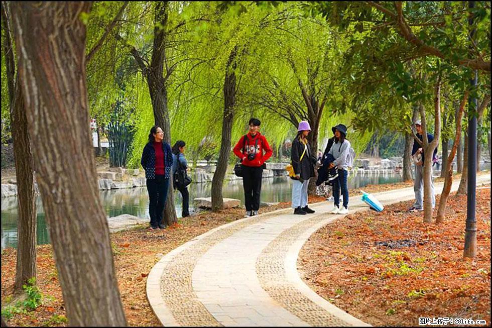 【春天，广西桂林灌阳县向您发出邀请！】江口老街又逢春 - 游山玩水 - 黔西南生活社区 - 黔西南28生活网 qxn.28life.net