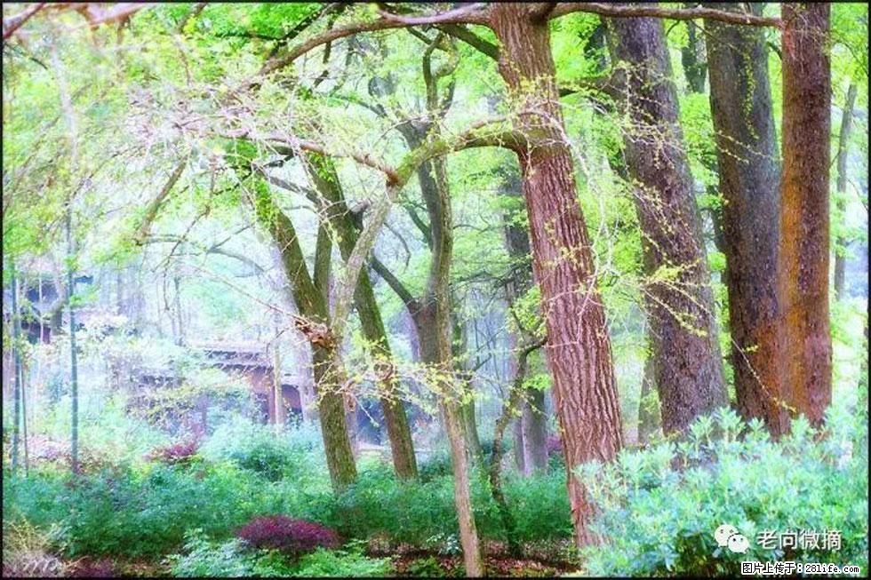 【春天，广西桂林灌阳县向您发出邀请！】在小龙村与春天约会 - 游山玩水 - 黔西南生活社区 - 黔西南28生活网 qxn.28life.net