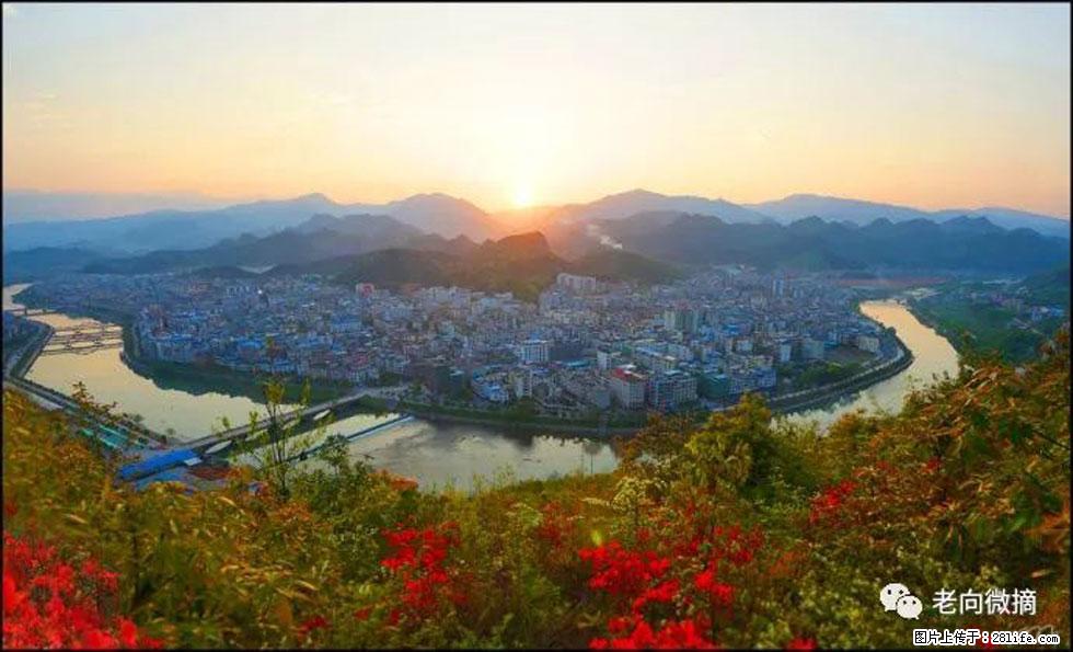 【春天，广西桂林灌阳县向您发出邀请！】登麒麟山，相约映山红 - 游山玩水 - 黔西南生活社区 - 黔西南28生活网 qxn.28life.net