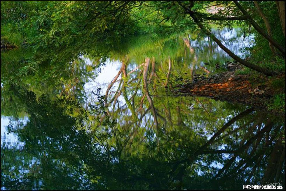 【春天，广西桂林灌阳县向您发出邀请！】熊家寨湿地公园 - 游山玩水 - 黔西南生活社区 - 黔西南28生活网 qxn.28life.net