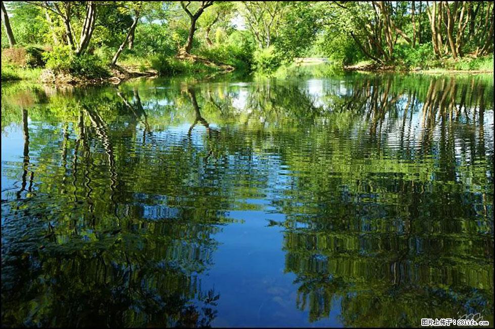 【春天，广西桂林灌阳县向您发出邀请！】熊家寨湿地公园 - 游山玩水 - 黔西南生活社区 - 黔西南28生活网 qxn.28life.net