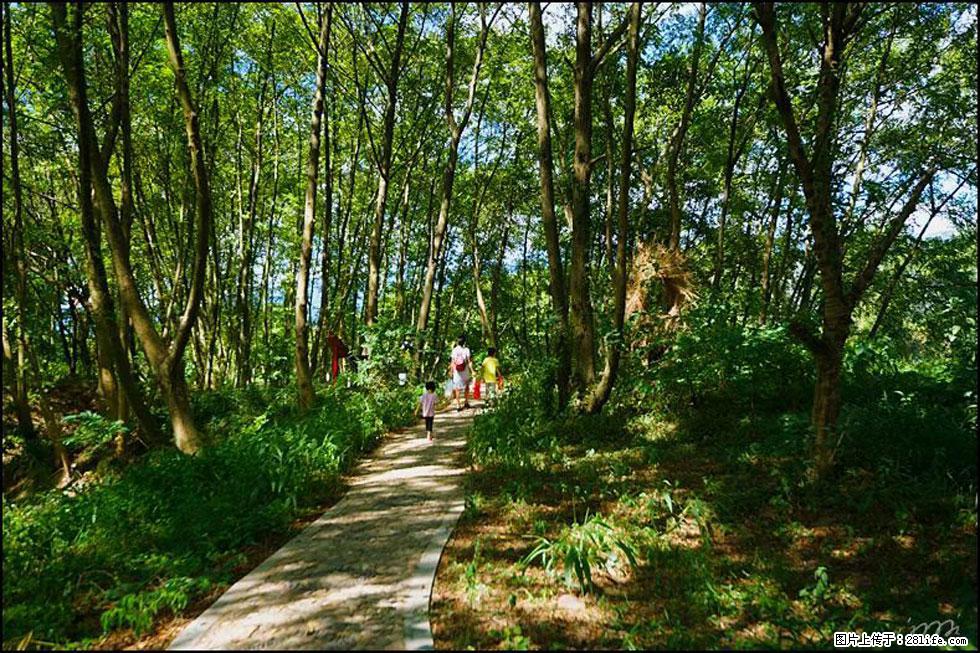 【春天，广西桂林灌阳县向您发出邀请！】熊家寨湿地公园 - 游山玩水 - 黔西南生活社区 - 黔西南28生活网 qxn.28life.net