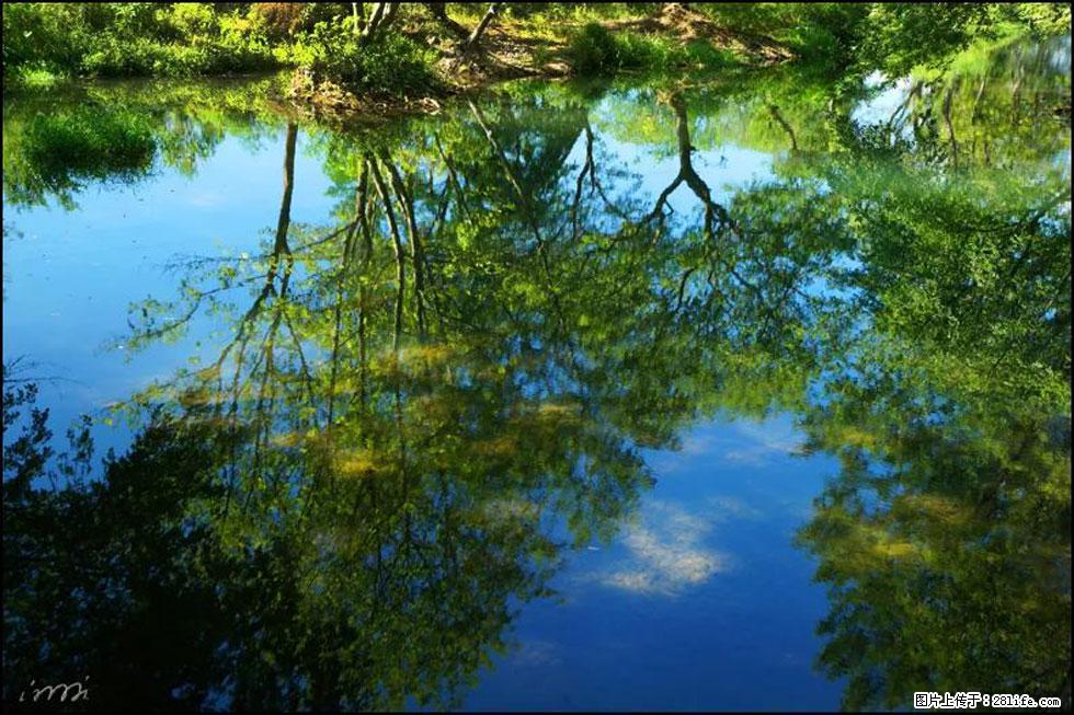 【春天，广西桂林灌阳县向您发出邀请！】熊家寨湿地公园 - 游山玩水 - 黔西南生活社区 - 黔西南28生活网 qxn.28life.net