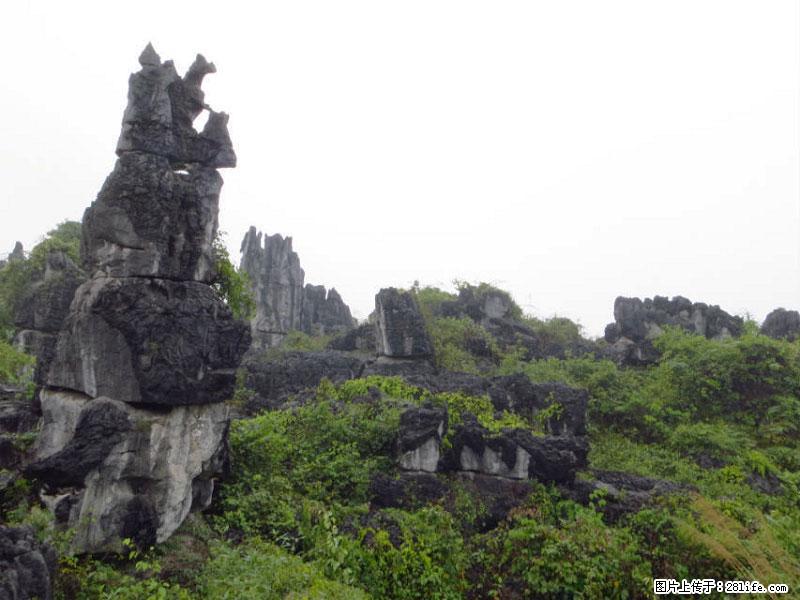 桂林旅游名城景点：灌阳文市石林 - 游山玩水 - 黔西南生活社区 - 黔西南28生活网 qxn.28life.net