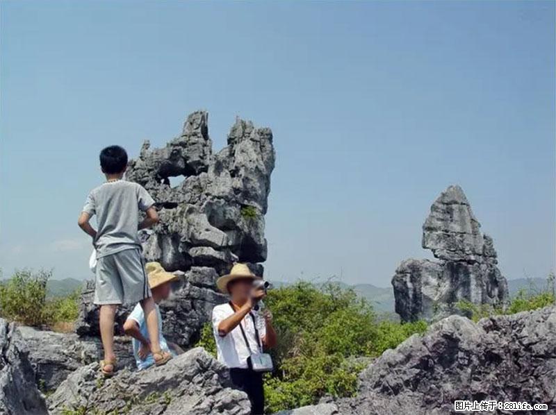 桂林旅游名城景点：灌阳文市石林 - 游山玩水 - 黔西南生活社区 - 黔西南28生活网 qxn.28life.net