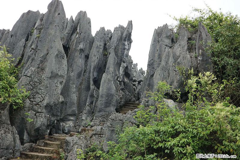 桂林旅游名城景点：灌阳文市石林 - 游山玩水 - 黔西南生活社区 - 黔西南28生活网 qxn.28life.net