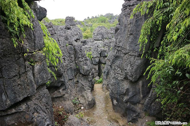 桂林旅游名城景点：灌阳文市石林 - 游山玩水 - 黔西南生活社区 - 黔西南28生活网 qxn.28life.net