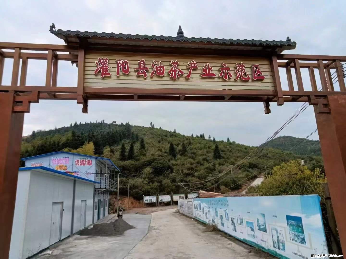 【灌阳县油茶产业示范区】一个有着充实的精神生活的人，对待身外之物自会有一种淡泊的态度 - 美食天地 - 黔西南生活社区 - 黔西南28生活网 qxn.28life.net
