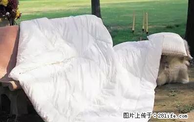 被子有异味？只要这样做，比晒太阳还强100倍！ - 家居生活 - 黔西南生活社区 - 黔西南28生活网 qxn.28life.net