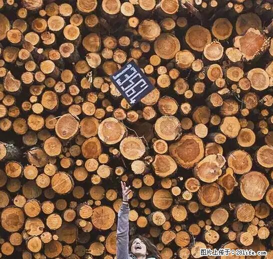 辞掉工作周游世界？现在他们在洗厕所…… - 游山玩水 - 黔西南生活社区 - 黔西南28生活网 qxn.28life.net