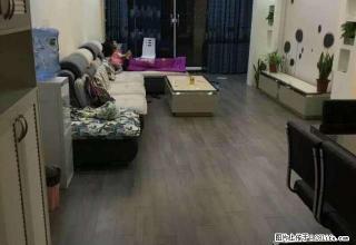 金州世家 3室2厅1卫 精装修家电家具齐全 拎包入住 - 黔西南28生活网 qxn.28life.net