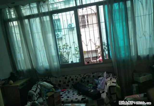 向阳路学位房，精装修三楼步梯房 - 房屋出租 - 房屋租售 - 黔西南分类信息 - 黔西南28生活网 qxn.28life.net