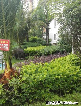 兴义蓝天花园 3室2厅130平米 简单装修 年付 - 房屋出租 - 房屋租售 - 黔西南分类信息 - 黔西南28生活网 qxn.28life.net
