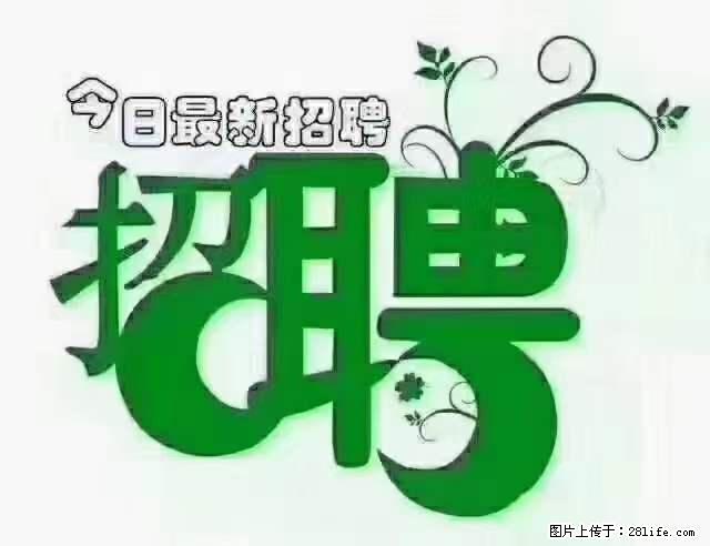 【招聘摄像师】待遇：试用期6000元/月，转正7000元/月+五险一金+餐补+节日福利+奖金 - 职场交流 - 黔西南生活社区 - 黔西南28生活网 qxn.28life.net