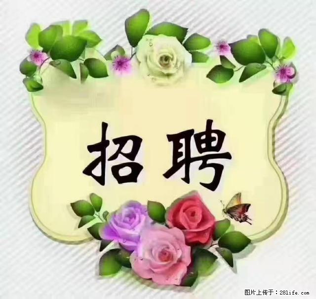 【招聘】住家育儿嫂，上户日期：4月4日，工作地址：上海 黄浦区 - 职场交流 - 黔西南生活社区 - 黔西南28生活网 qxn.28life.net
