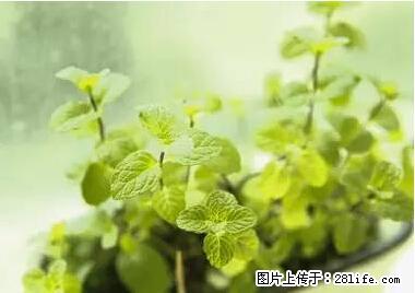 晕车、脚气、牙齿变黄、皮肤粗糙？学会这些三分钟搞定！ - 黔西南生活资讯 - 黔西南28生活网 qxn.28life.net