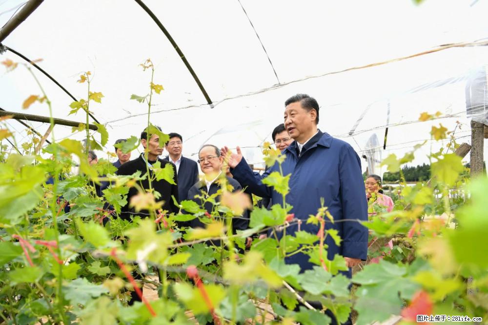 习近平赴广西考察调研 - 黔西南生活资讯 - 黔西南28生活网 qxn.28life.net