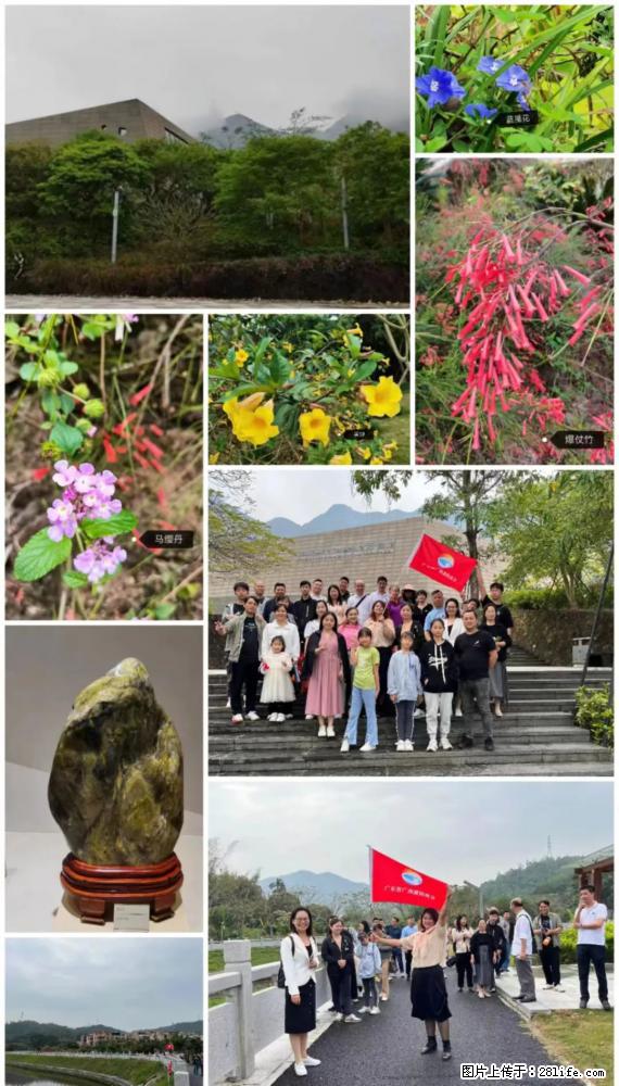 “粤灌文化 美好生活”油茶文化主题活动在广东深圳成功举办 - 黔西南生活资讯 - 黔西南28生活网 qxn.28life.net
