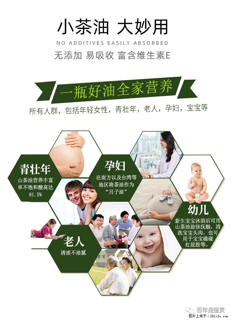 世界没有真相，只有认知，最好的食用油是中国的山茶油！ - 黔西南生活资讯 - 黔西南28生活网 qxn.28life.net