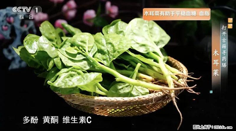 比牛奶补钙还厉害！凉血解毒、稳血糖...这菜冬天必吃，很多人却当草 - 黔西南生活资讯 - 黔西南28生活网 qxn.28life.net